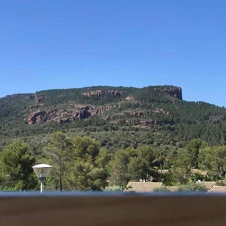 Au Pied Des Gorges Du Blavet Et A 20Min Des Plages Roquebrune-sur Argens Exteriör bild