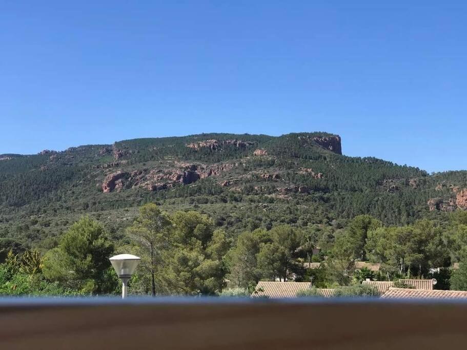 Au Pied Des Gorges Du Blavet Et A 20Min Des Plages Roquebrune-sur Argens Exteriör bild